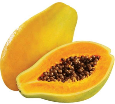 KLARKEE Florida Royale Papaya Seeds Seed(20 per packet)