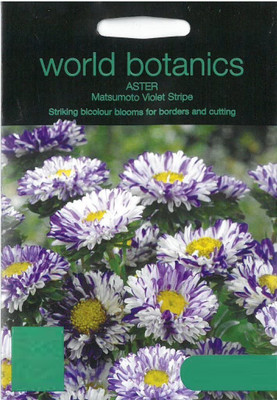 CYBEXIS World Botanics Aster Matsumoto Violet Stripe Seed Seed(50 per packet)