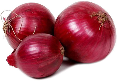 Qualtivate RES-2A Onion F1 Seeds Seed(500 per packet)