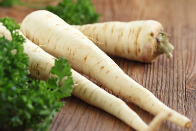 WILLVINE LX-219 Parsley Hercules Green Seed(500 per packet)