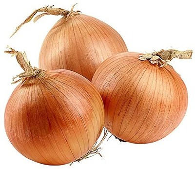 Qualtivate HUA-4A Hybrid yellow onion Seeds Seed(500 per packet)