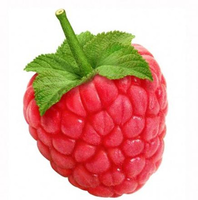 XOLDA Organic raspberry Seed(37 per packet)