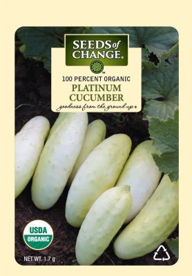 CYBEXIS LXI-73 - Certified Organic Platinum Cucumber White - (150 Seeds) Seed(150 per packet)