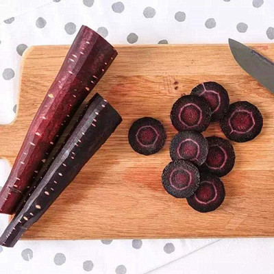 CYBEXIS Hybrid Black Carrot Seed Nutrition Four Seasons Sowing1000 Seeds Seed(1000 per packet)