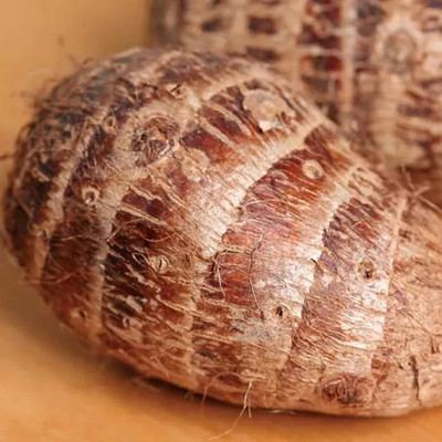 SREE Taro Root,Kachu Seed(5 per packet)