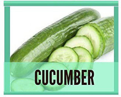 CYBEXIS Cucumber1000 Seeds Seed(1000 per packet)