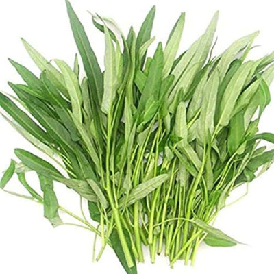 Arshiayat Water Spinach, Thai Kangkong, Ipomoea aquatica, Leaf Green Spinach Vegetable Seed(500 per packet)