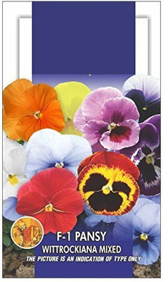 CYBEXIS Pansy F1 Wittrockia Mixed Seed(1 g)