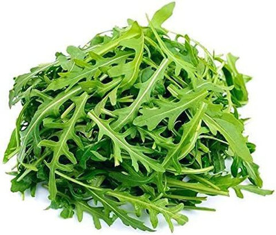 CYBEXIS XLR-6 - Roquette Lettuce Arugula - (750 Seeds) Seed(750 per packet)
