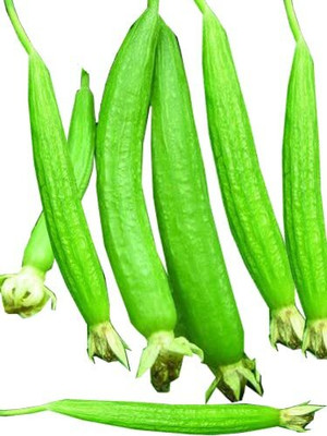 Aywal luffa seeds, smooth sponge gourd Seed(20 per packet)