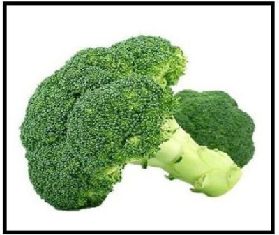 VibeX XLL-18 - Belstar Broccoli - (1350 Seeds) Seed(1350 per packet)