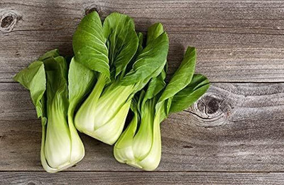 WILLVINE SYN -VIII White Cabbage Chinese Cabbage [25g] Seed(7500 per packet)