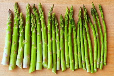 KNESSiN Asparagus Flowering Perennial Plant[200 Seeds] Seed(200 per packet)