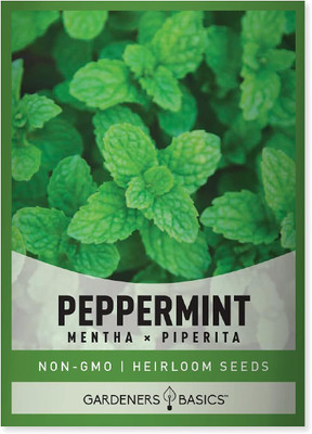Qualtivate VXL-3AT Peppermint for Planting Seed(200 per packet)