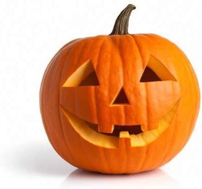 Qualtivate HYB-7A Jack O' Lantern Pumpkin Seeds Seed(50 per packet)