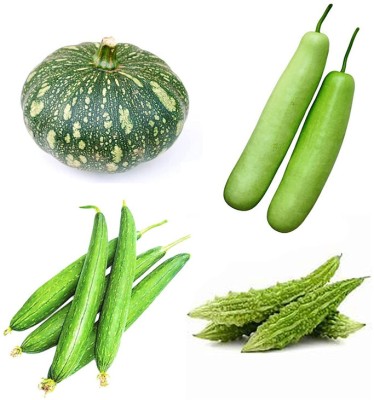 VNR Fresh VNR Ridge Gourd (Torai) Hybrid Vegetable Seed(100 per packet)