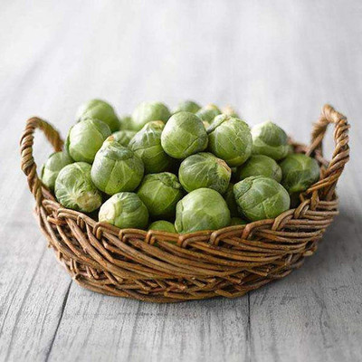 CYBEXIS Heirloom Brussels Sprout Seeds1000 Seeds Seed(1000 per packet)