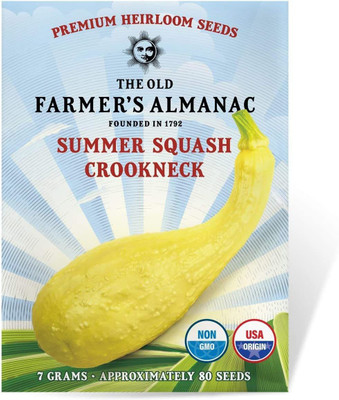 VibeX XLL-86 - Summer Squash (Yellow Crookneck) - (75 Seeds) Seed(75 per packet)