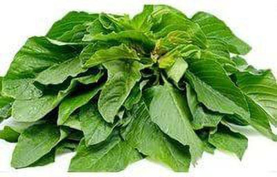 KANAYA Amaranthus Green Saag Cheera Hybrid Spinach Seed(40 per packet)