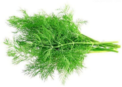 Aywal Fresh Soya Saag F1 Hybrid Vegetable Seed(800 per packet)