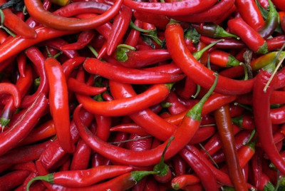 CYBEXIS Fast Germination Cayenne Red Hot Chili Pepper Seeds1000 Seeds Seed(1000 per packet)