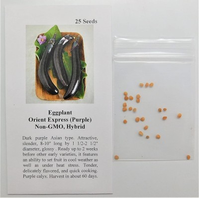 VibeX ® LXI-747 Brinjal Orient Express (Purple) Seed(200 per packet)