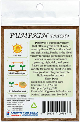 VibeX ® VXI-709 F1 Hybrid Pumpkin Seeds Seed(50 per packet)