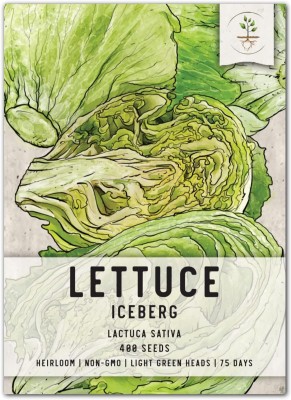 Qualtivate LXI-568 Iceberg Lettuce Seeds for Planting Seed(200 per packet)