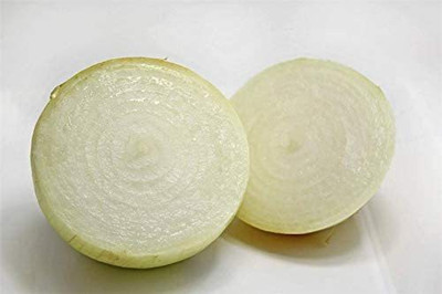 VibeX NBIR-59 - White Sweet Spanish Onion - (1500 Seeds) Seed(1500 per packet)