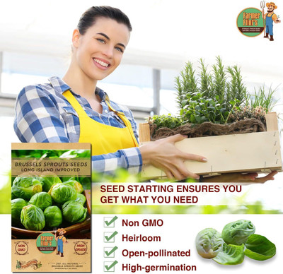 WILLVINE SYN -X Brussels Sprouts Long Island Improved [50g] Seed(15000 per packet)
