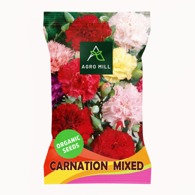 AGRO MILL CARNATION/DIANTHUS MIXED PREMIUM QUALITY FLOWER Seed(20 per packet)