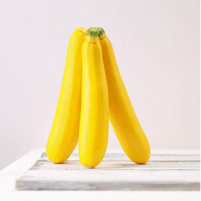 CYBEXIS Bright Yellow Color Zucchini Seeds 100 Seeds Seed(100 per packet)