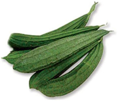 KANAYA Dhari Tori Seed(5 per packet)