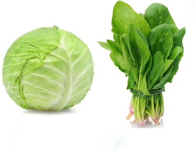 PSAgroinput Cabbage Palak Vegetable Seed(100 g)