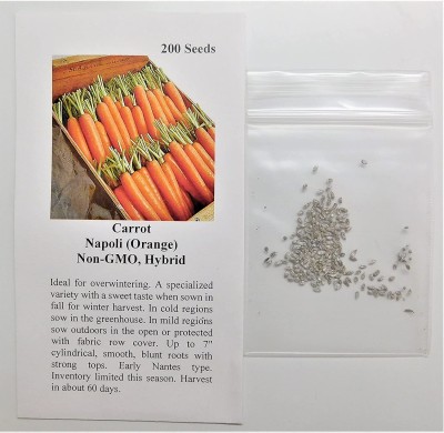 VibeX ® VXI-378 Seeds Carrot Napoli (Orange) Seed(500 per packet)