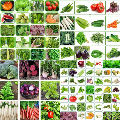 ibains Vegitable seed biij 206 Seed(206 per packet)