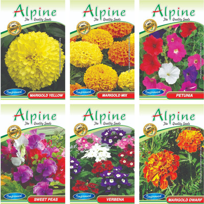 Finiox flowers Seed(50 per packet)