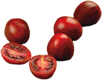 KNESSiN Easy to Grow Chocolate Cherry Tomato Seeds For Planting - (4000 Seeds) Seed(4000 per packet)