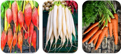 CHILLATAI Combo Root Vegetable Seeds Carrot, Radish, Beetroot Seed(300 per packet)