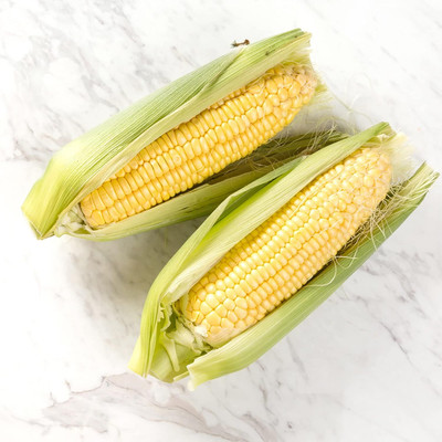 WILLVINE HUA -XI Sweet Corn Seeds Fast-Growing-[500g] Seed(2000 per packet)
