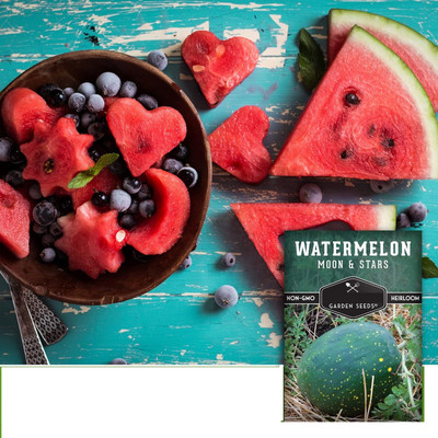 KNESSiN Disease-Resistant Moon & Stars Watermelon Fruit Seeds For Planting-(100 Seeds) Seed(100 per packet)