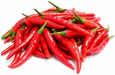 Quentova Red Chili लाल मिर्च-2F-PAUS Seed(250 per packet)