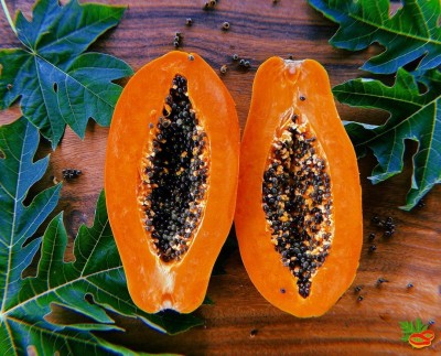 KLARKEE Sweet Papaya Carica papaya Seed Seed(20 per packet)