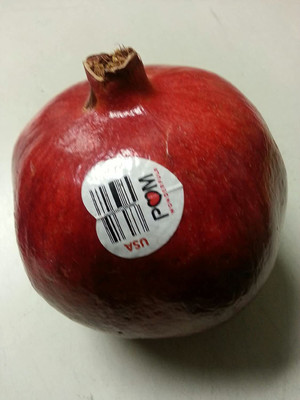 VibeX VXI-36 - Pomegranate POM Wonderful - (270 Seeds) Seed(270 per packet)