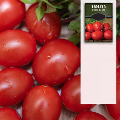 Quentova Amish Paste Tomato 1gm Seeds Seed(400 per packet)