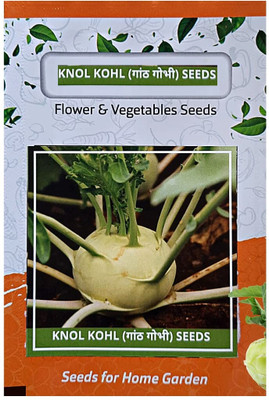 WILLVINE MEH -V Early White Vienna Kholrabi/Knolkhol F1 Hybrid [50g] Seed(15000 per packet)