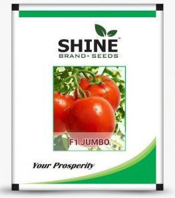 HYBRID 10g, F1 hybrid tomato seed highest yield variety testy fruits Seed(10 g)