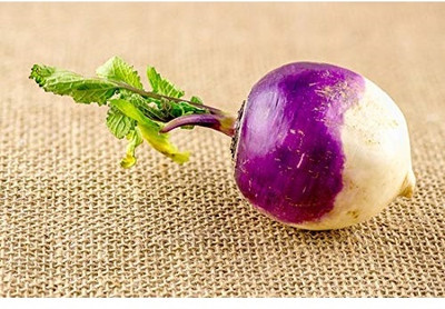 KNESSiN Red Turnip (Shalgam) - Turnlip-{800 Seeds} Seed(800 per packet)