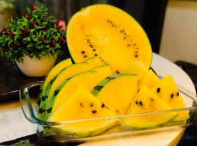 KNESSiN Hybrid Yellow Watermelon Fruit Seeds For Gardening-(250 Seeds) Seed(250 per packet)