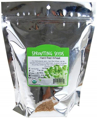 Qualtivate TLX-140 Cat Wheatgrass Seeds Seed(2000 per packet)